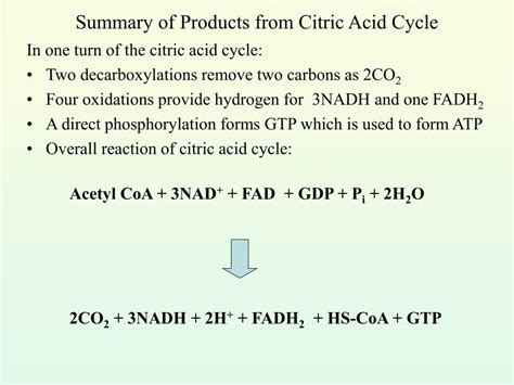 Ppt Overview Of Citric Acid Cycle Powerpoint Presentation Free