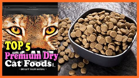 Top 5 Best Premium Dry Cat Foods Of 2022 Youtube