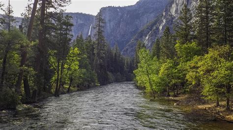 Yosemite Falls And The Merced River Merced River Yosemite Falls