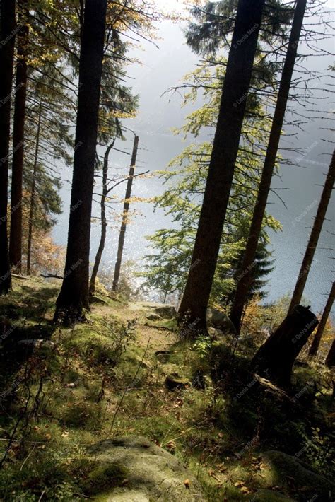 Le Lac Blanc Dans Le Massif Des Vosges Denis Merck Photographe