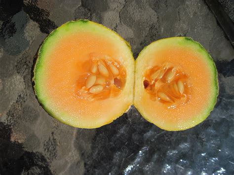 A Slice of Texas blog : Toiling for Melons!