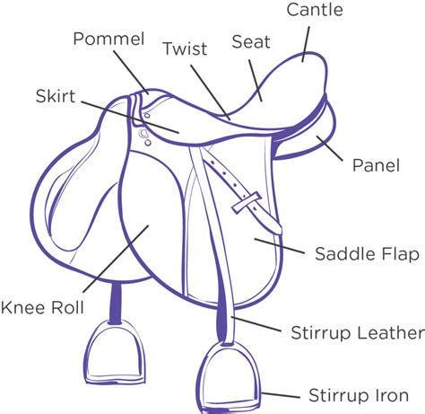 Parts Of A Saddle Diagram