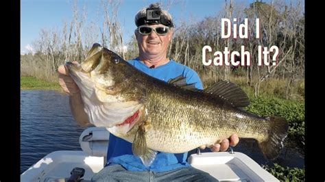 Quest For A Florida State Record Bass Round Ii Youtube