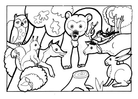 Forest Animals Coloring Bookcoloring Book PageÂ Black And White
