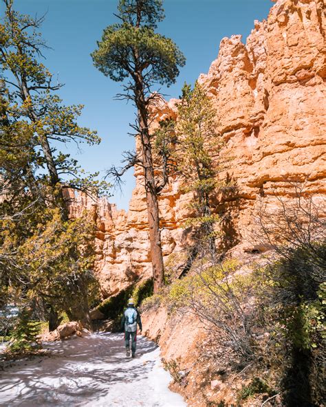 Hiking Bryce Canyon National Park Twoweekspaidvacation