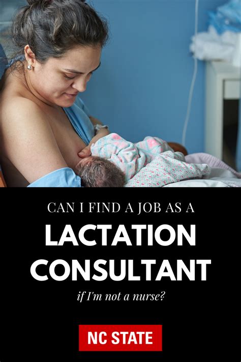 How Much Does It Cost To Become A Lactation Consultant Infolearners