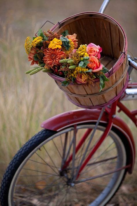 500 Bicycles With Flower Baskets Ideas Bike With Basket Bicycle