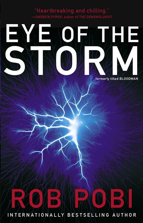 Eye Of The Storm Book By Robert Pobi Official Publisher Page