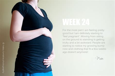 24 Weeks Pregnancy Series Haley Lorraine Photography