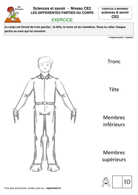 Laurent pamphile avec learningapps et wordwall. CE2 > Exercice à imprimer > Les différentes parties du corps - Classe de primaire