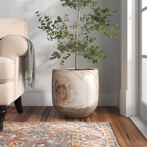 những large decorative pots for indoor plants độc đáo cho cây trong nhà của bạn