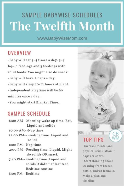 Babywise Sample Schedules The Twelfth Month Babywise Mom Baby