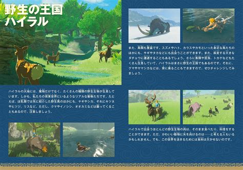 First Look Inside The Zelda Breath Of The Wild Explorers Edition