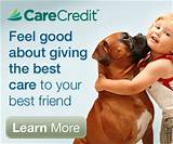Pictures of Care Credit Vet Application