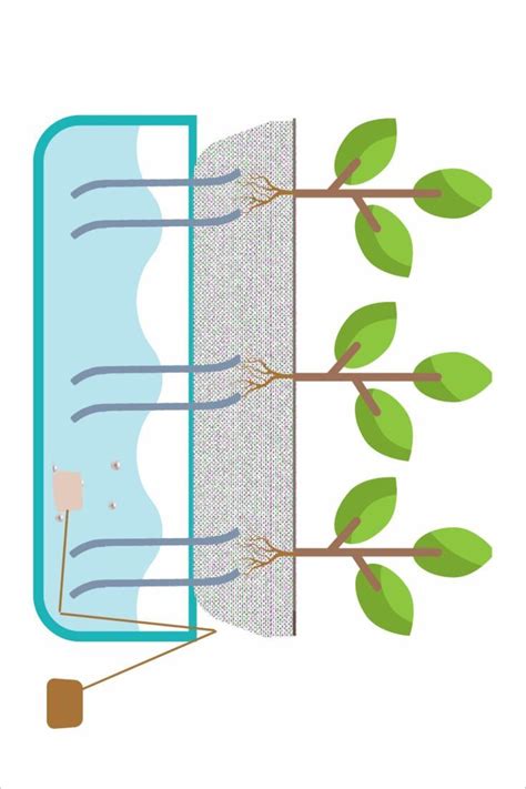 Hydroponic Systems Are Known For Being One Of The Most Sustainable