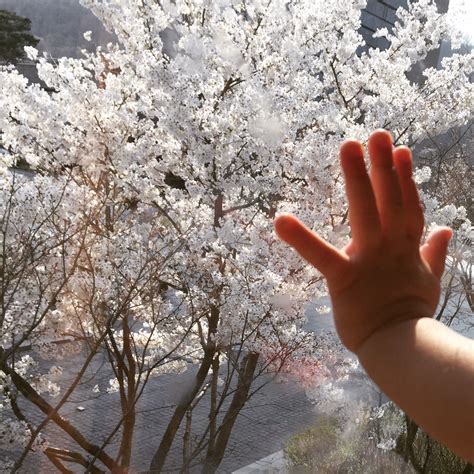 BEST THINGS TO DO IN SEOUL KOREA - ELAINE SIR