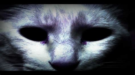 Creepypasta Loquendo El Gato Sin Ojos Youtube