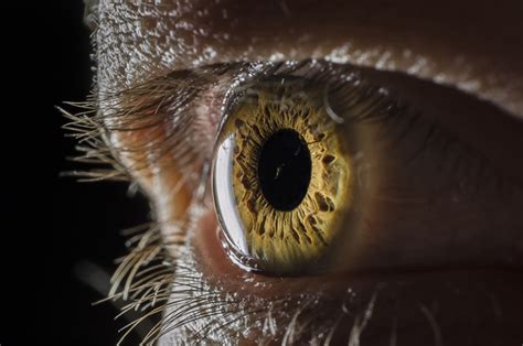 Amazing Eye Photographs Incredible Snaps