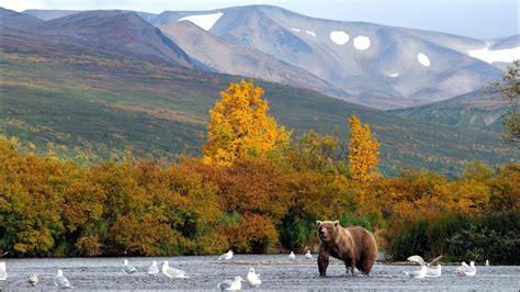 Katmailand, Inc & Angler's Paradise Lodges - YouTube