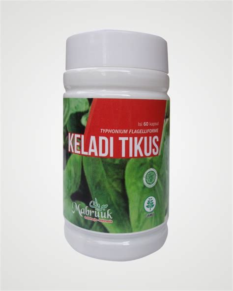 Ketika sudah dewasa, bentuk daunnya panjang dan meruncing di seperti yang sudah disebutkan di atas, keladi tikus memiliki banyak khasiat untuk kesehatan. MADU PAHIT DAN HERBAL: Keladi Tikus Mengobati Hipertensi
