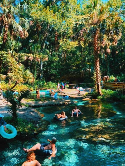 Rock Springs At Kelly Park Central Floridas Best Natural Spring