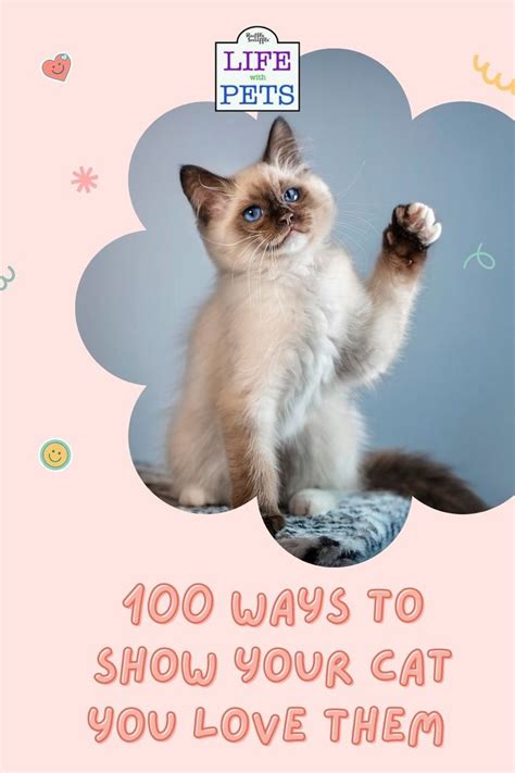 100 Ways To Show Your Cat You Love Them • 2023 Ruffle Snuffle Cat