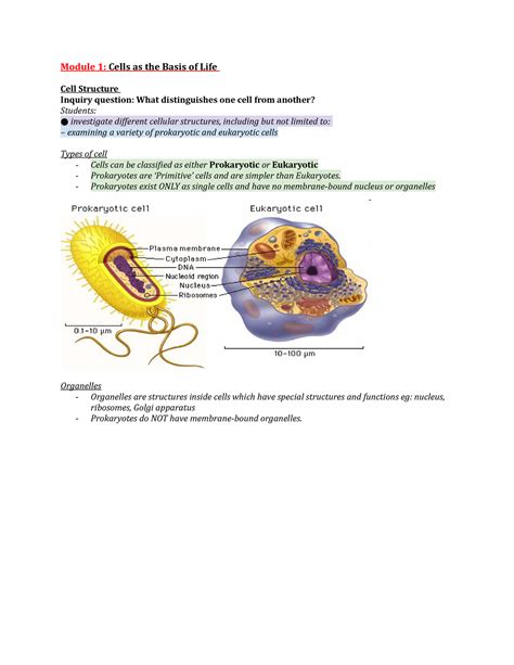 Biology Module 1 Cell As The Basis Of Life Module 1 Cells As The