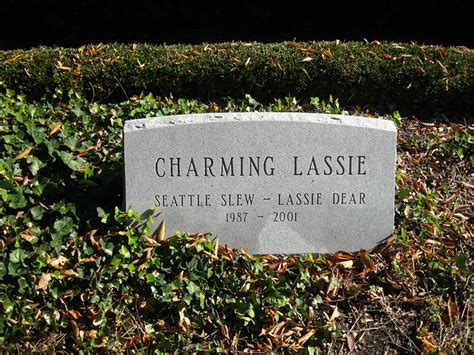 Charming Lassies Grave Flickr Photo Sharing
