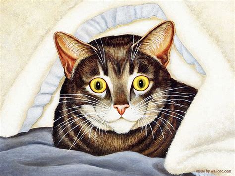 Funny Cat Painting At Explore Collection Of Funny