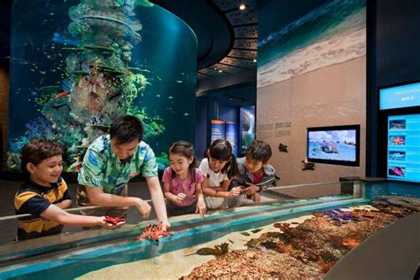 Worlds Largest Oceanarium Opens At Resorts World Sentosa Senatus