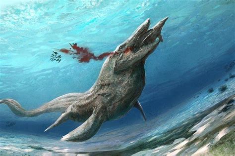 Tylosaurus Was A Species Of Mosasaur It Was Enormous Reaching More