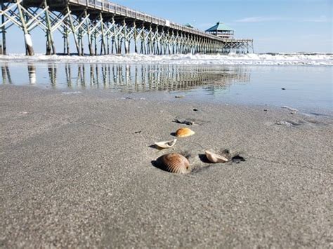 Folly Beach Public Beach 2019 All You Need To Know Before You Go