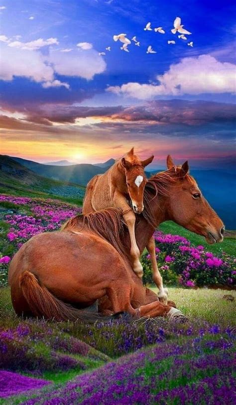 Pin By Pearl Aranda On Horses Most Beautiful Horses Horses Animals