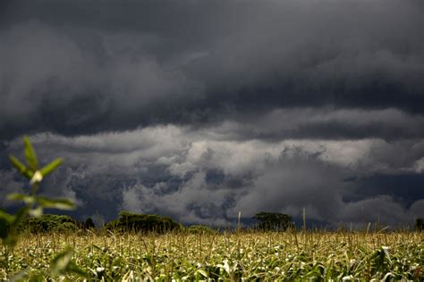 Free Images Landscape Nature Horizon Cloud Sky Sunshine Field