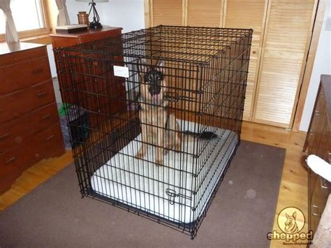 My son will be here to look after her and let her potty. Quick & Effective Crate Training For Your German Shepherd ...