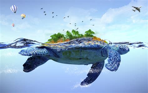Free Turtle Backgrounds Download Pixelstalknet