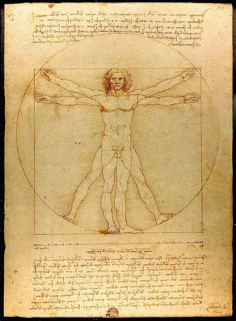 La Figura Umana Al Centro Dell Universo L Uomo Vitruviano Di Leonardo