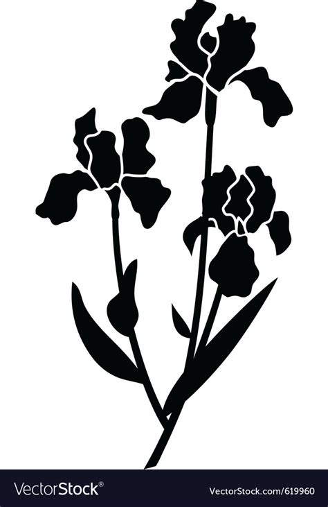 Black Silhouettes Of Iris Royalty Free Vector Image
