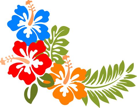 download hibiscus flower background hawaii royalty free vector graphic pixabay