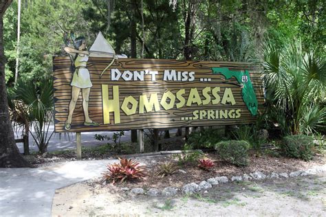 Homosassa Springs Florida Manatee And Wildlife Adventure Wanderwisdom