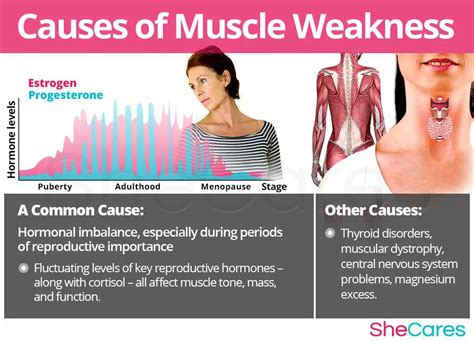What Causes Muscle Soreness And Fatigue