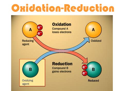 Oxidation Reduction Biochemistry