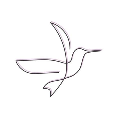 Best Continuous Line Drawing Bird Illustrations Royalty Free Vector