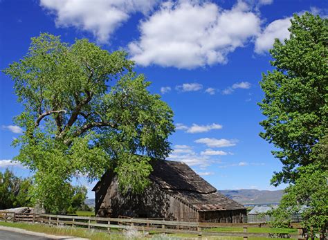 Ancient Nevada Barn Mother Earth Images