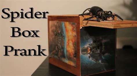 Spider Box Prank Youtube