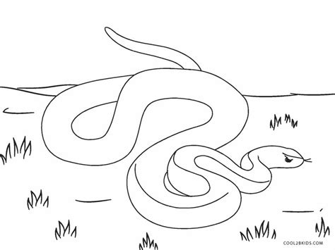 Things to remember by the parents is, coloring activity is one way to develop creativity and art sense of children so they should be free to add any color. Free Printable Snake Coloring Pages For Kids