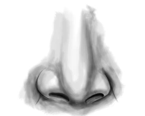 I you want to learn how to draw realistic eyes for beginners step by. How to Draw a Nose