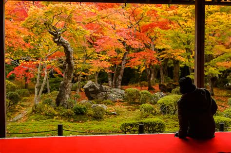 Jeffrey Friedls Blog Impossible Shot At Kyotos Enkoji Temple