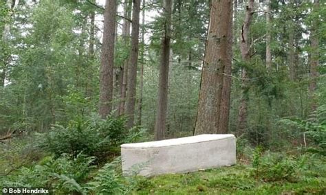 Living Coffin Made Of Fungus Helps Bodies Decompose Faster Readsector