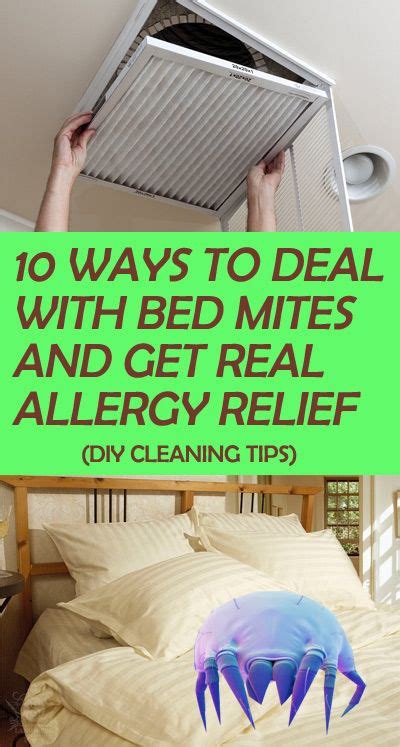 20 Natural Ways To Get Rid Of Bed Mites Dust Mites In Bed Cleaning